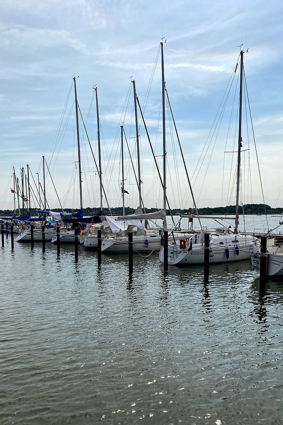 Hafen Schleswig Segelboote Relana Dombetzki ALDO Magazin