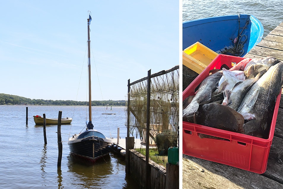 Holm Fisch Schleswig Relana Dombetzki ALDO Magazin