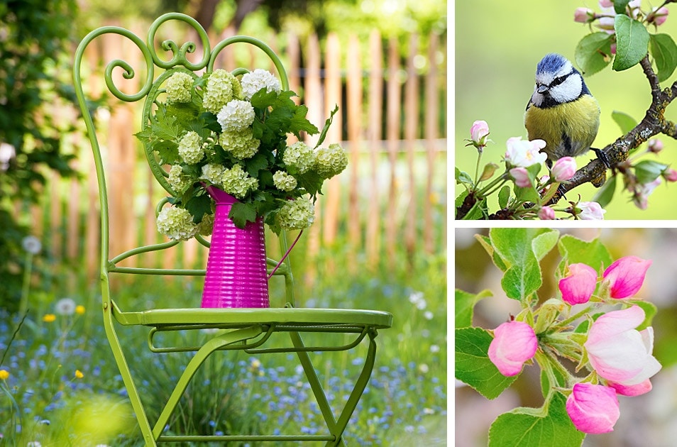 Fruehling Garten Lammkarree Rezept Relana Dombetzki ALDO Magazin