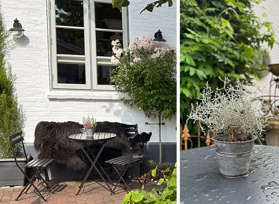 Café Der Arnisser in Arnis an der Schlei ALDO Magazin