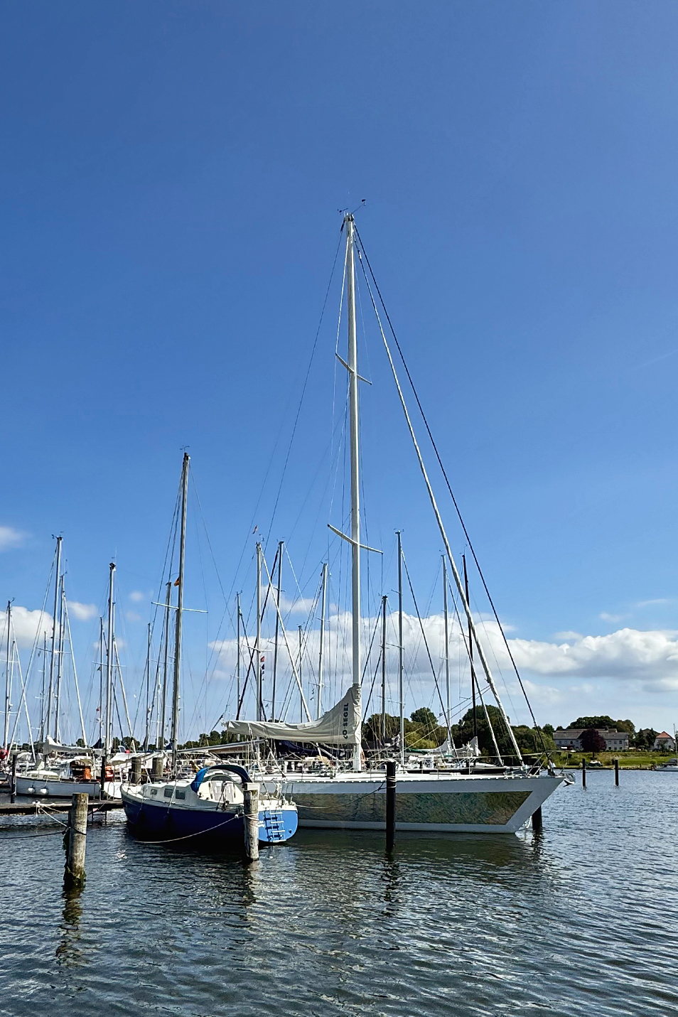 Ausflug Segelhafen Arnis an der Schlei ALDO Magazin