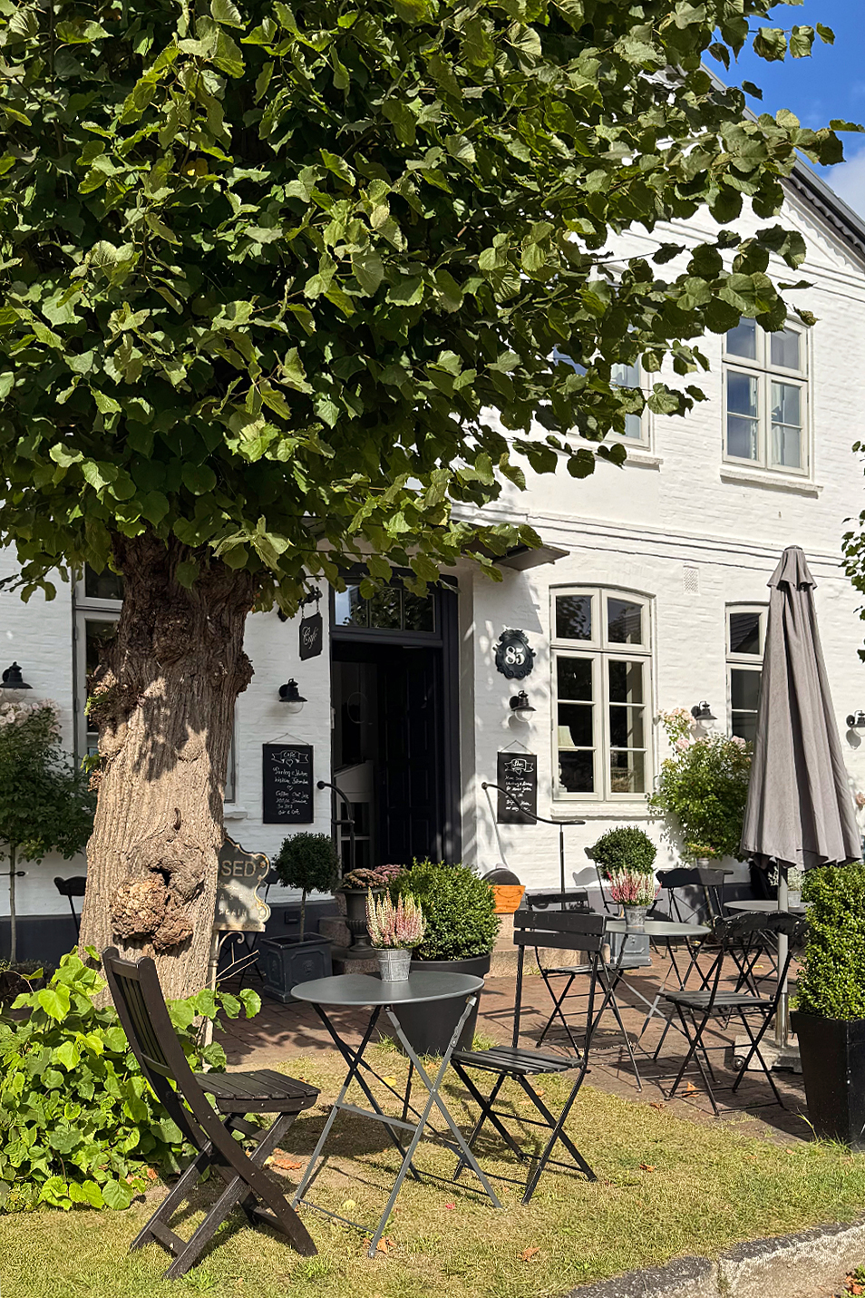 Ausflug Cafe "Der Arnisser" Schlei ALDO Magazin